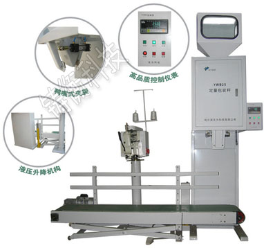 ��Ӷ�����